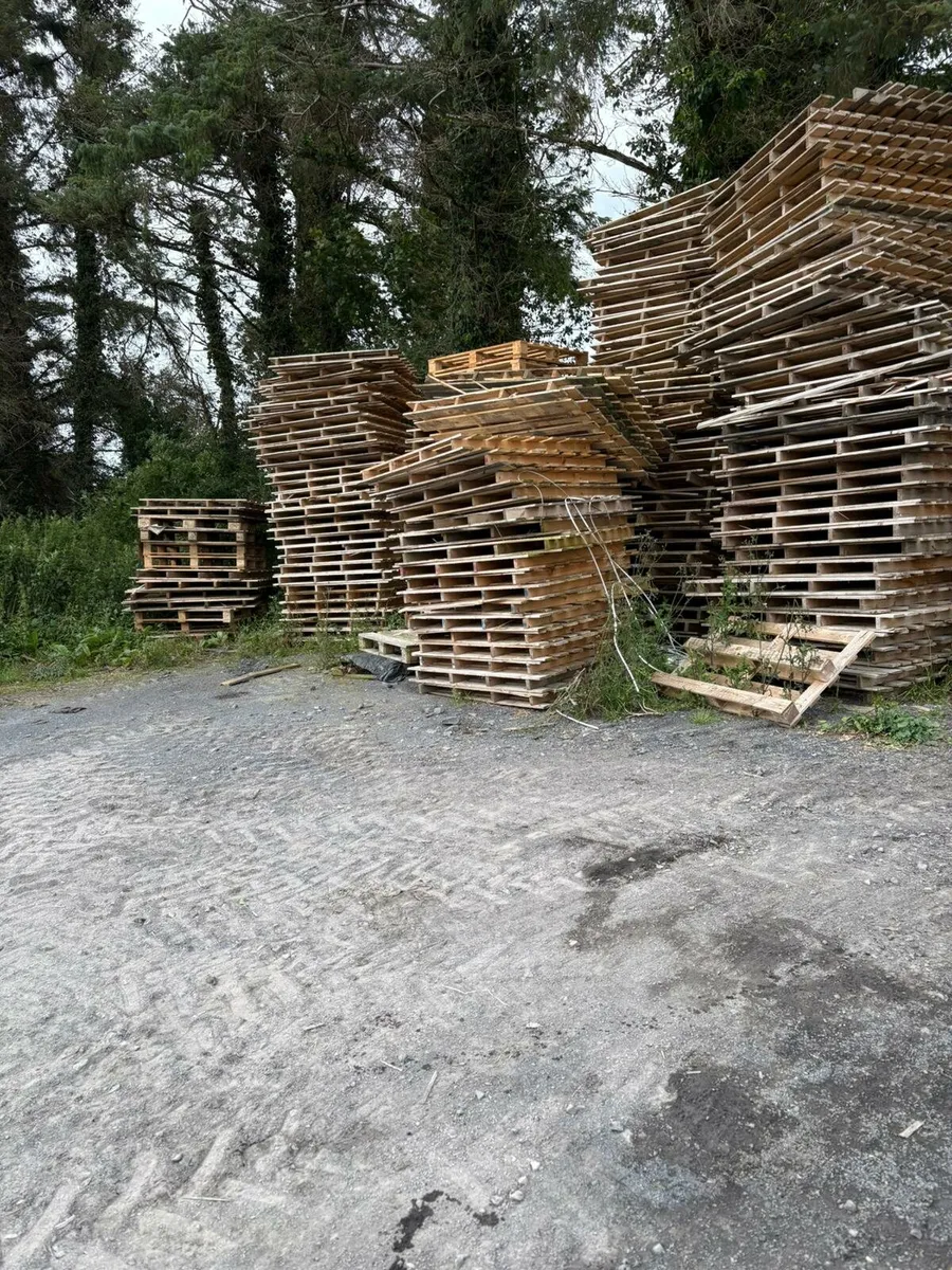 Pallets for sale - Image 4