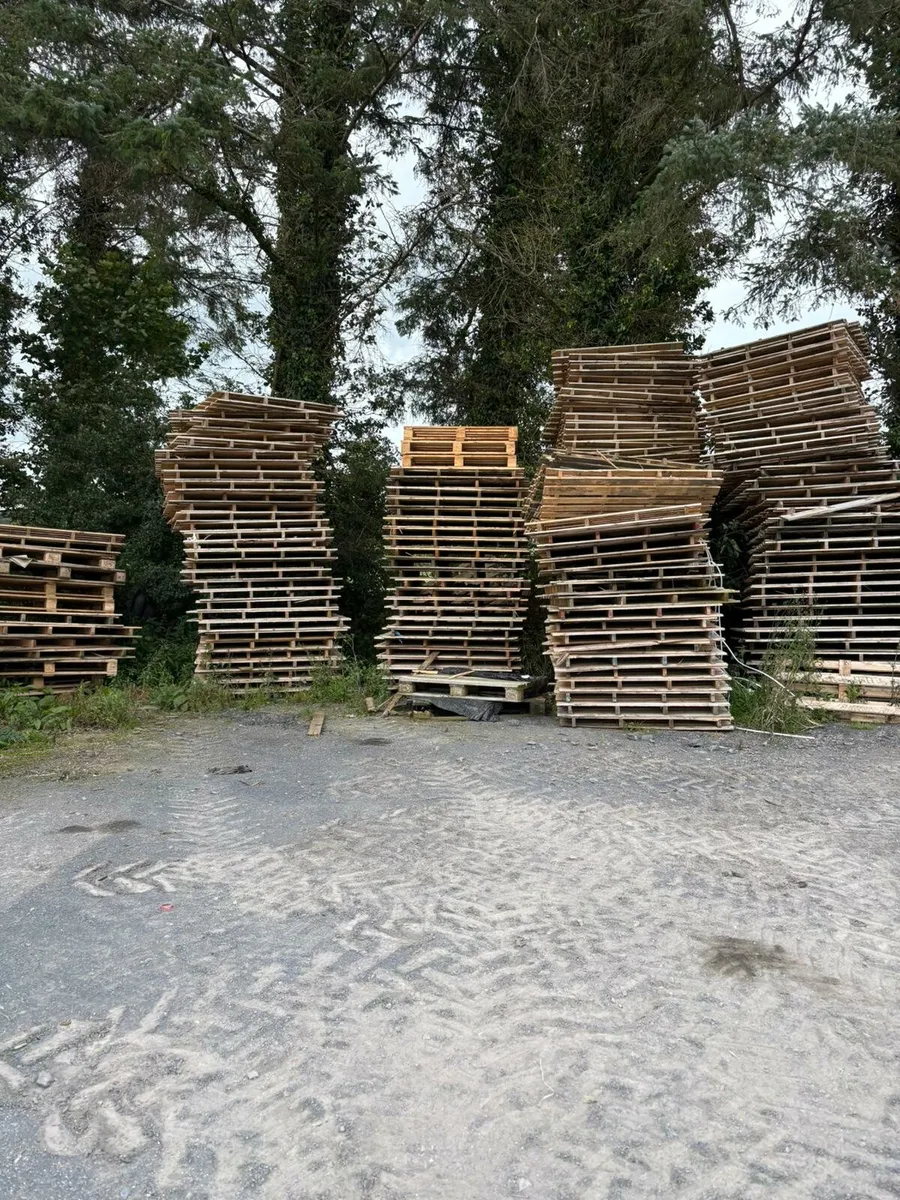 Pallets for sale - Image 1