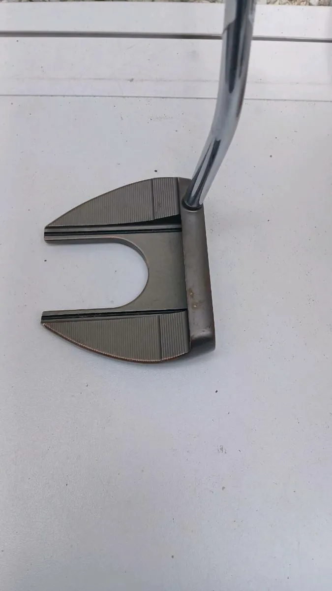 Golf  putter taylor very good condition - Image 1