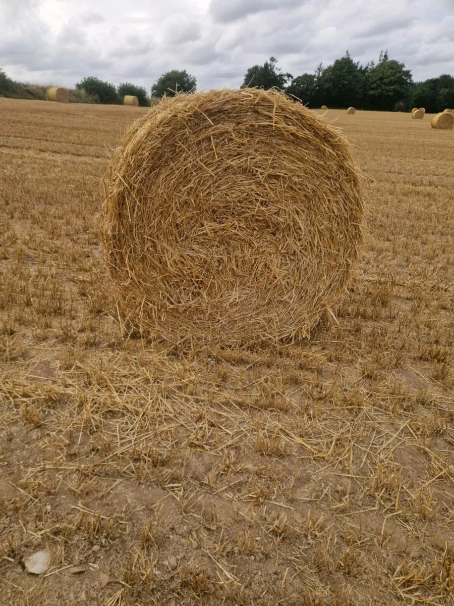 Straw