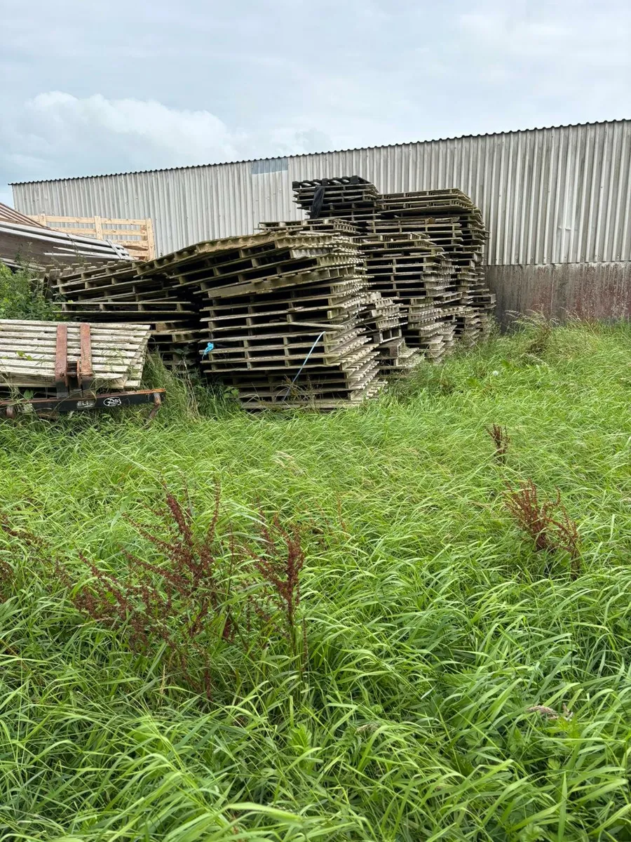 Pallets for sale - Image 2