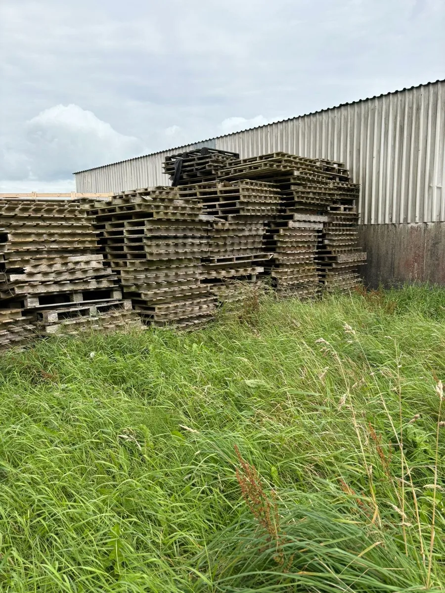Pallets for sale - Image 3