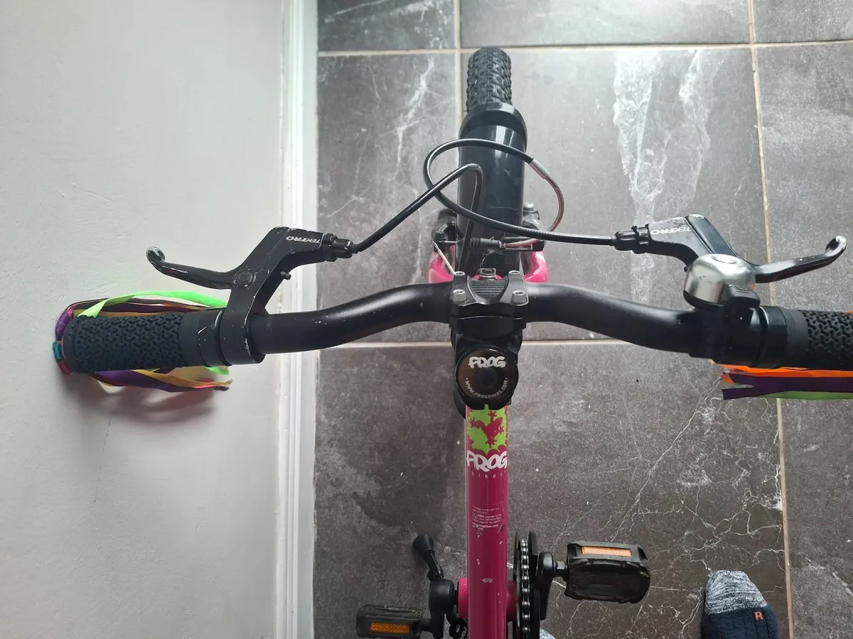 Frog 48 Bike - Image 2