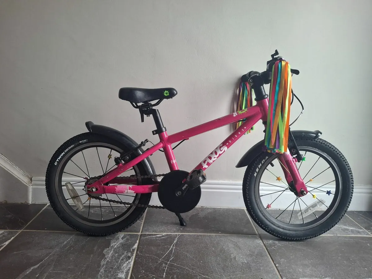 Frog 48 Bike - Image 1