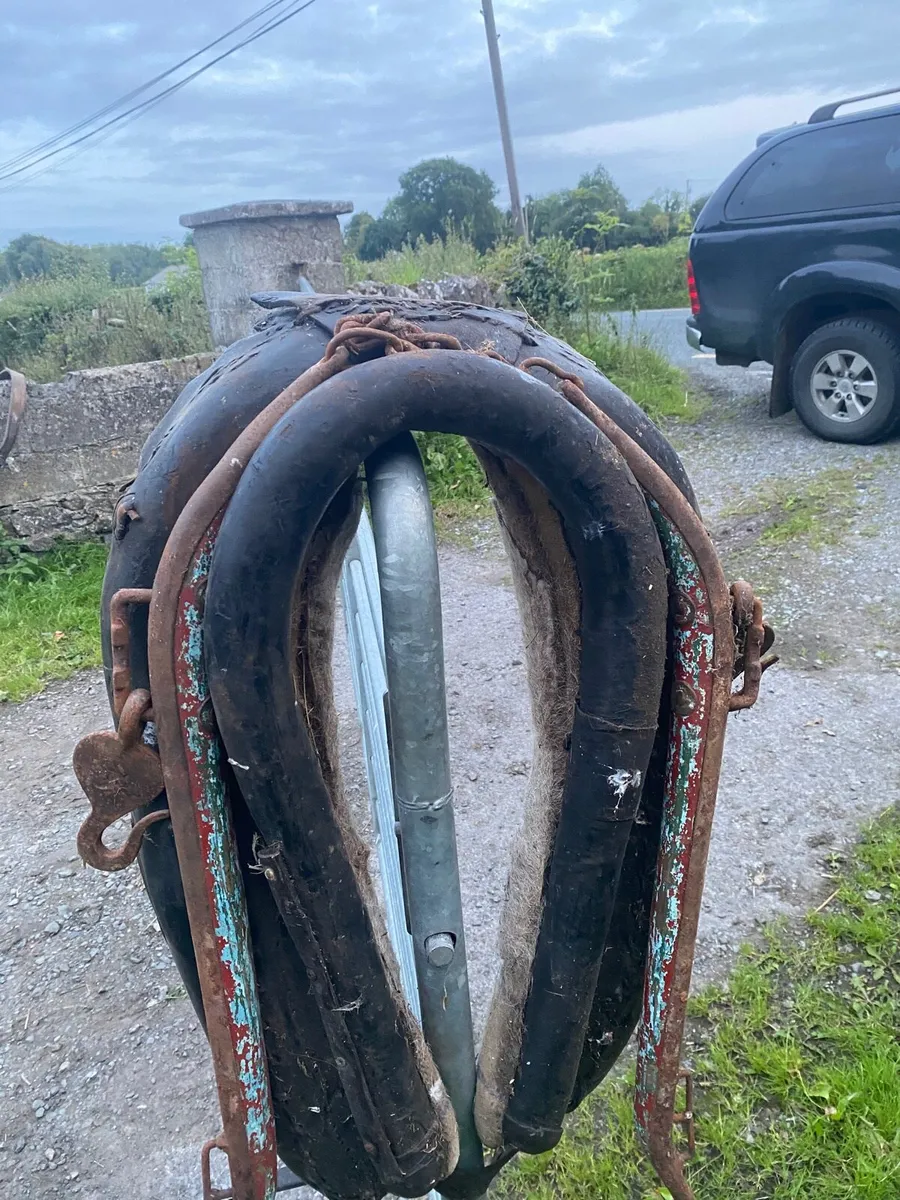 Donkey/ horse collar straddle  full harness - Image 1