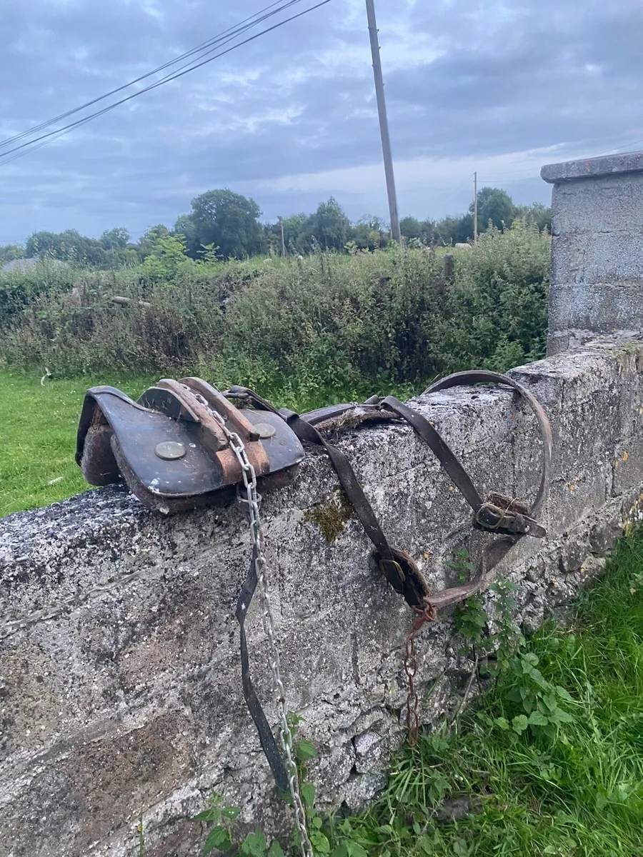Donkey/ horse collar straddle  full harness - Image 4