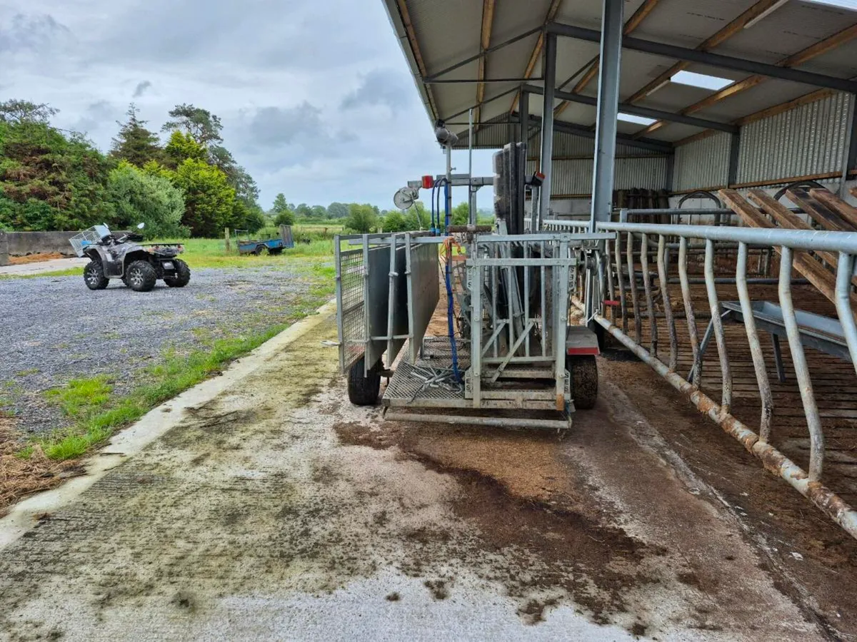 Sheep Handling Unit - Image 2