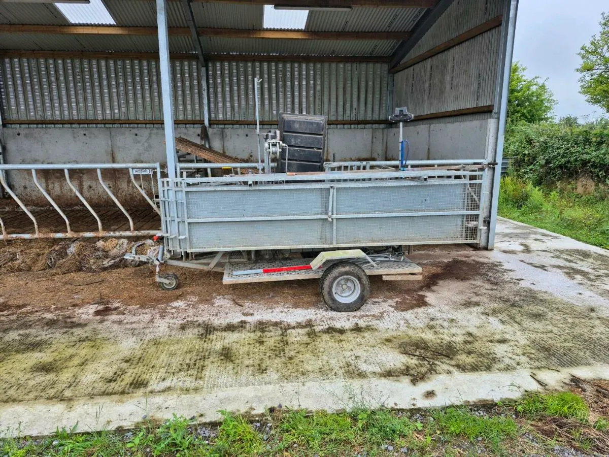 Sheep Handling Unit - Image 3