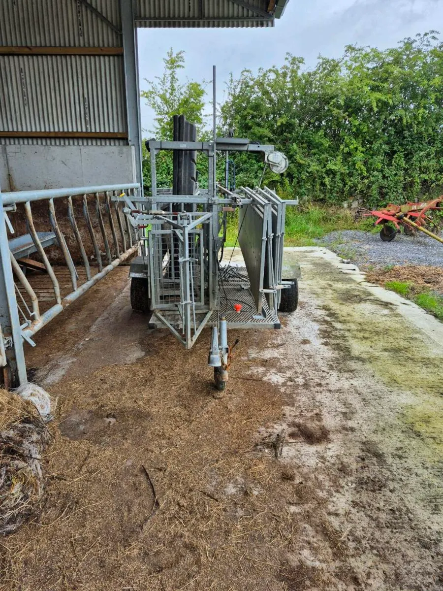 Sheep Handling Unit - Image 4