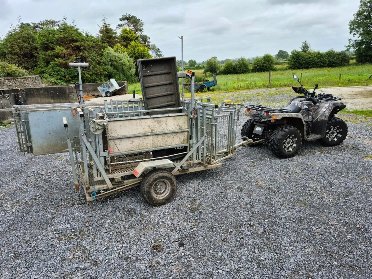 Sheep Handling Unit - Image 1