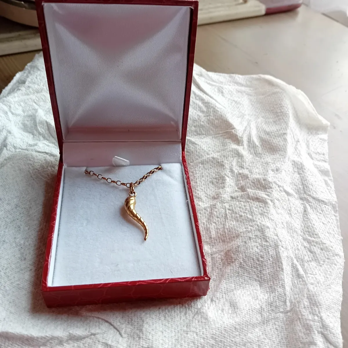 9 CT Gold chain and pendent