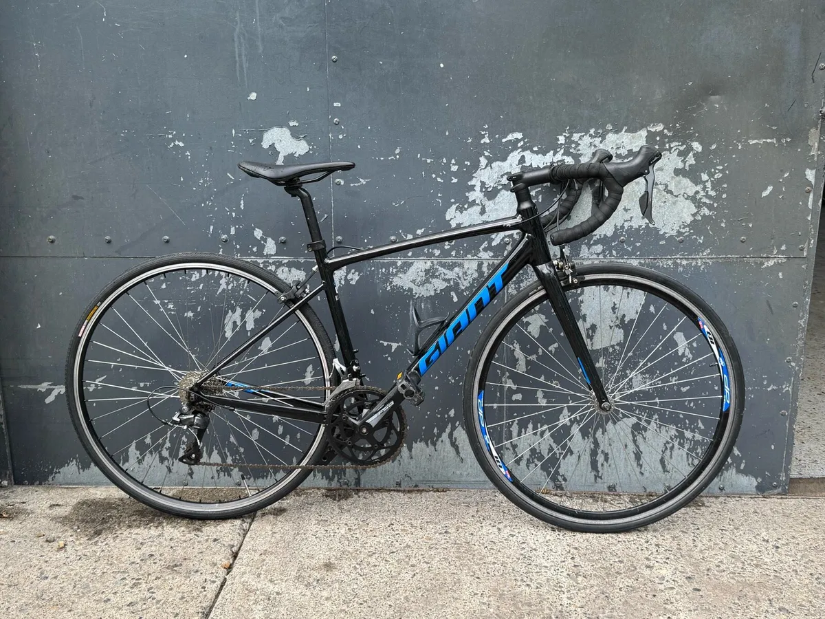 Giant Contend - Image 1