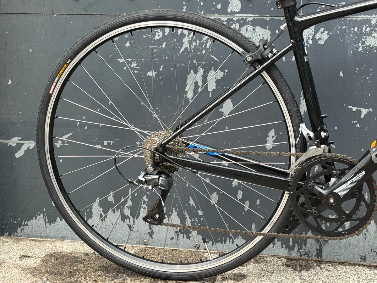 Giant Contend - Image 2