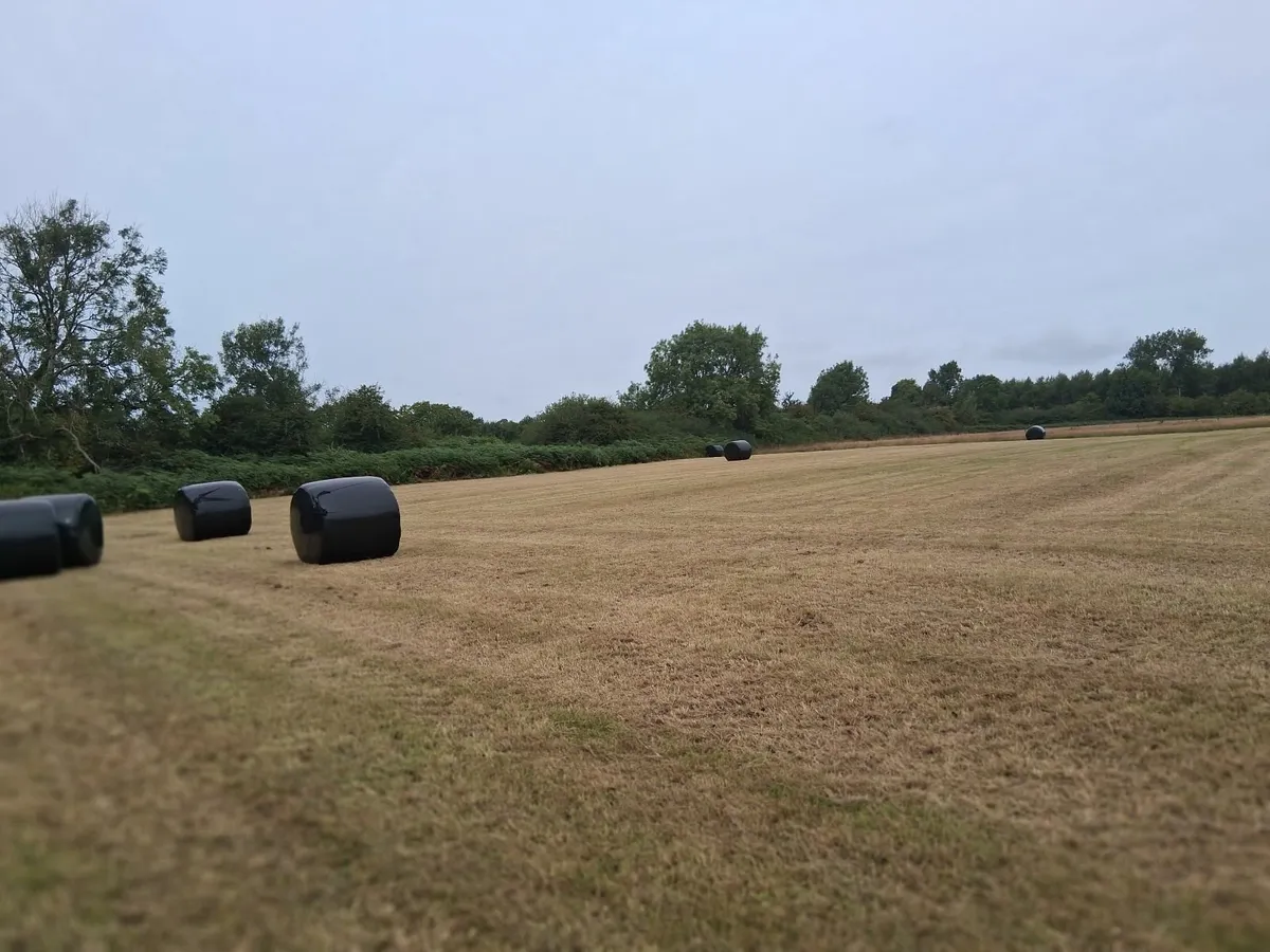 62 Silage bales - Image 2