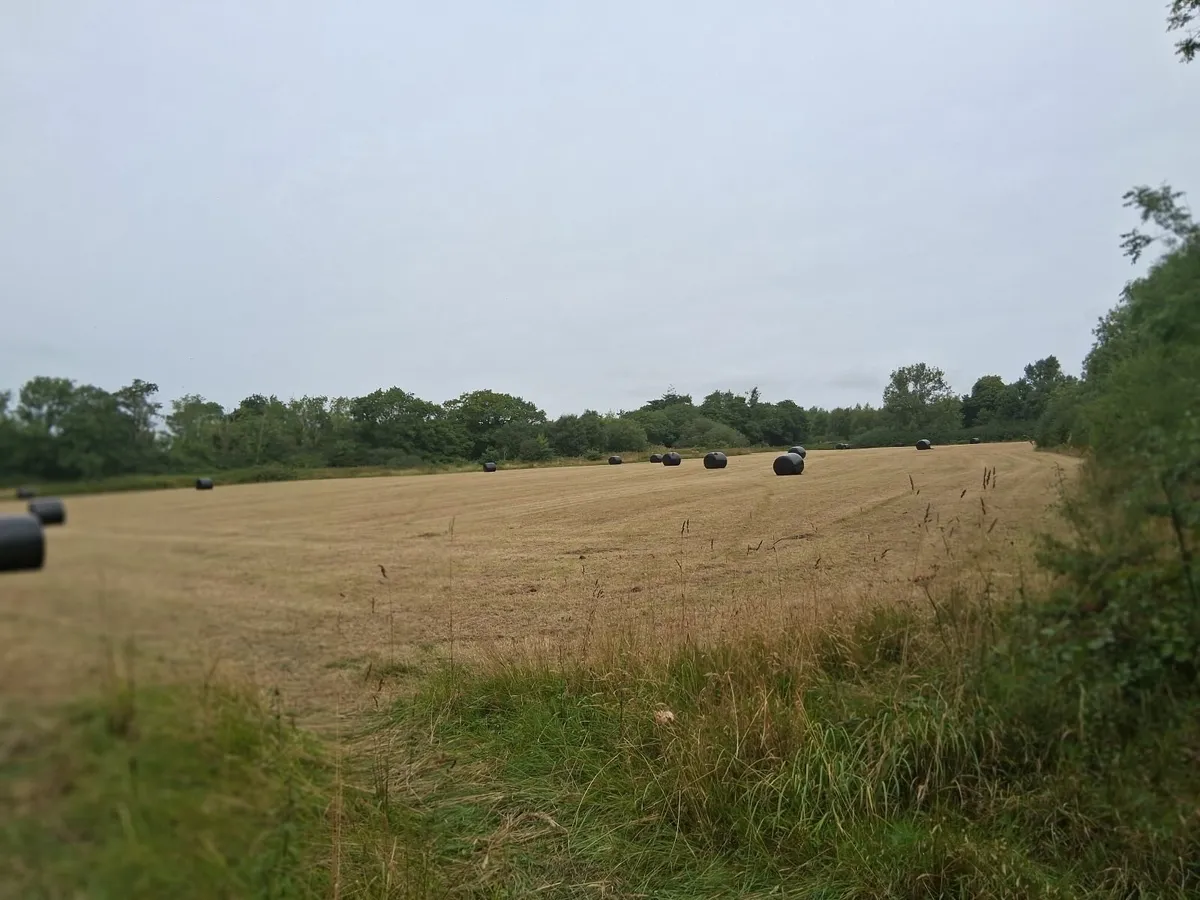 62 Silage bales - Image 3