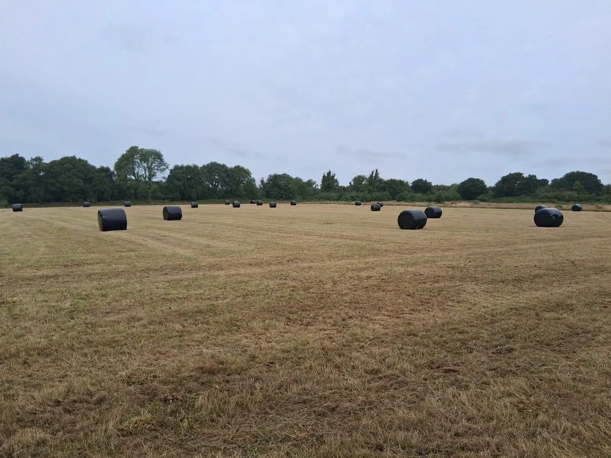 62 Silage bales - Image 1