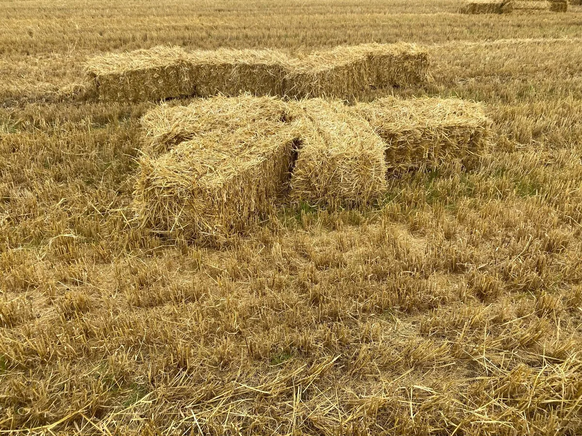 Small Square and Round Bale Straw