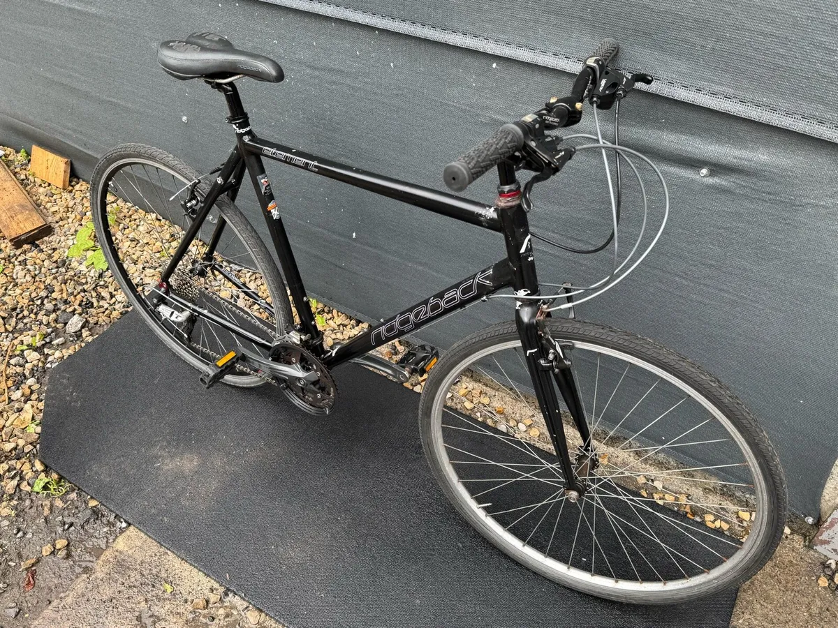 Ridgeback Element - Image 3
