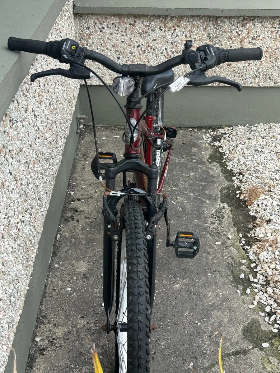 Bike - Image 2
