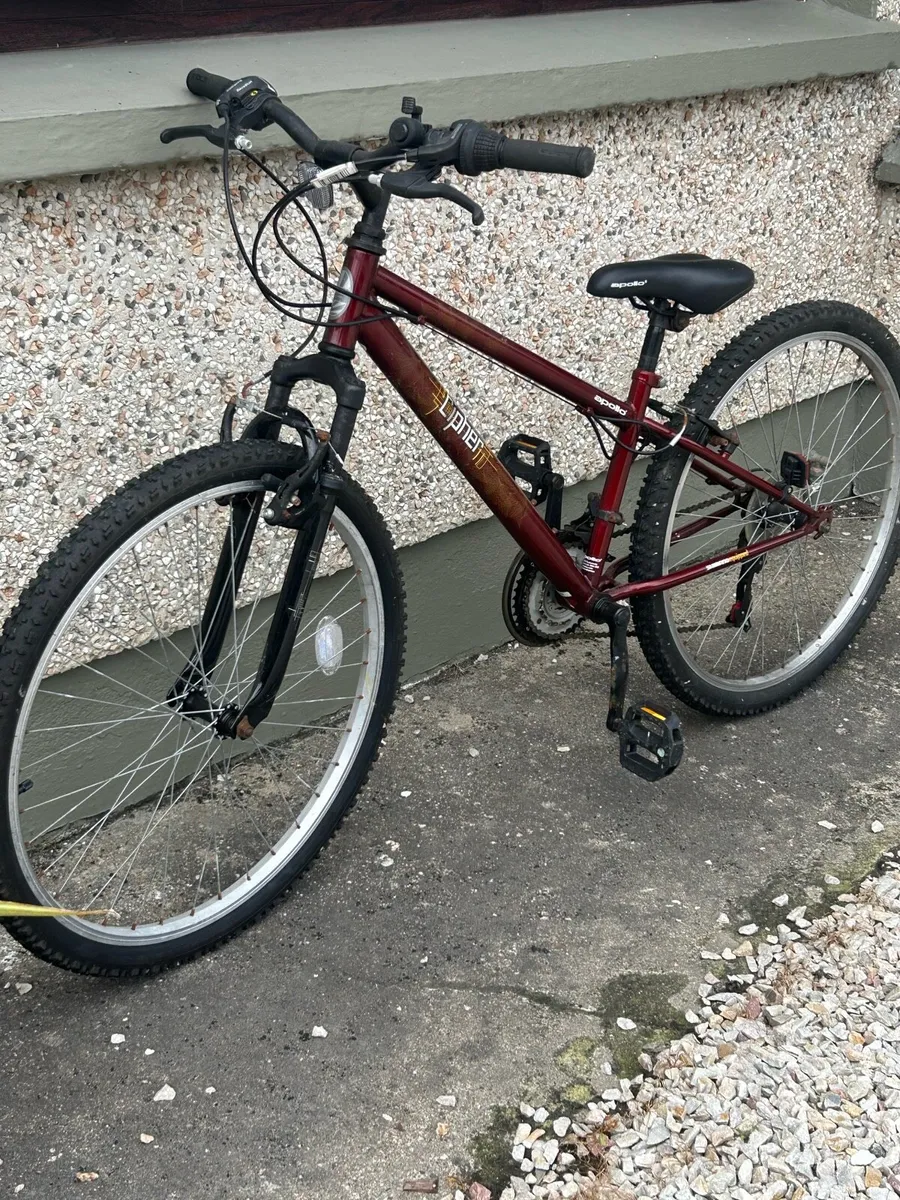 Bike - Image 1