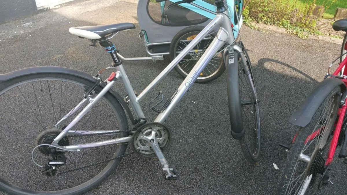 Giant Ladies & Gents Bicycles. - Image 1