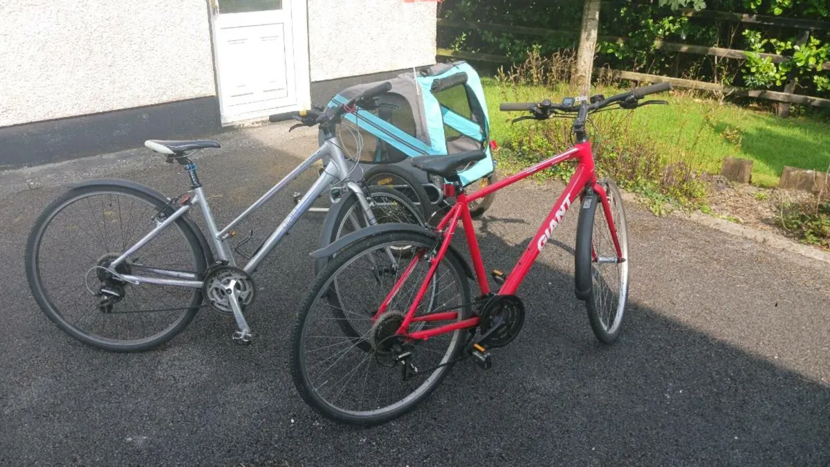Giant Ladies & Gents Bicycles. - Image 2