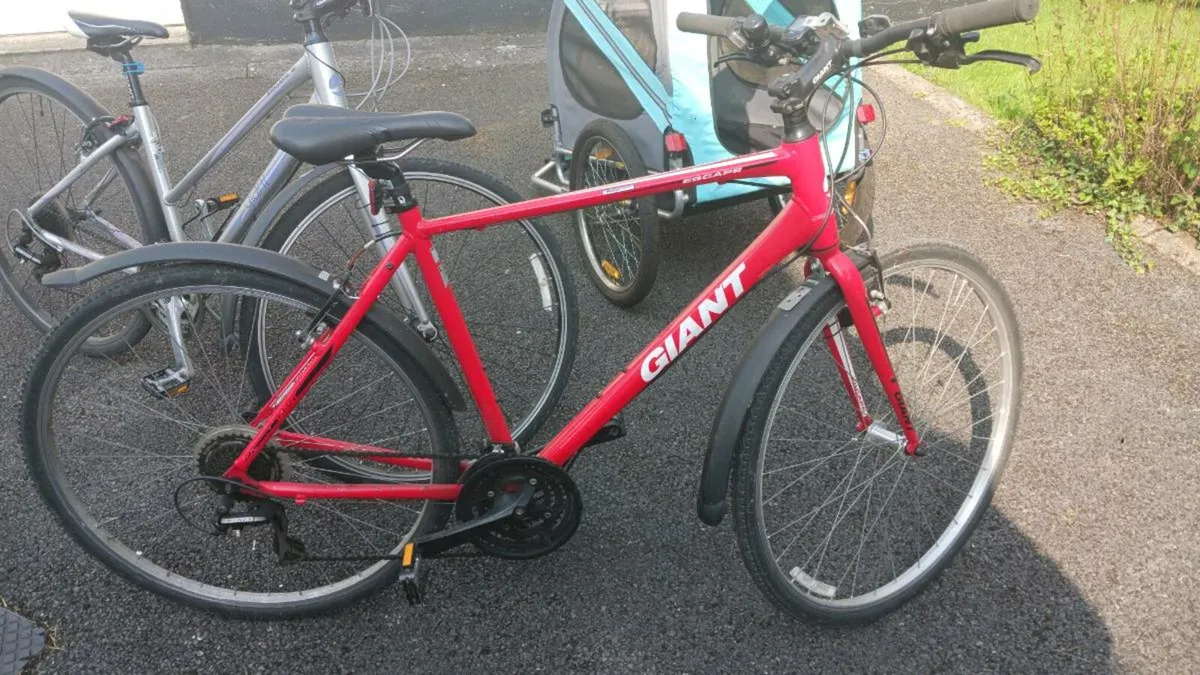Giant Ladies & Gents Bicycles. - Image 3