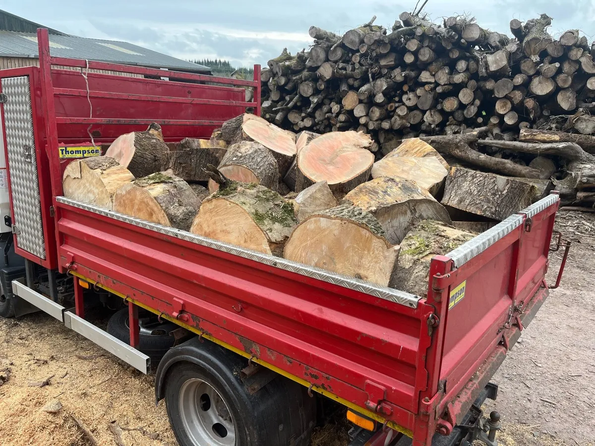 Firewood - Image 1