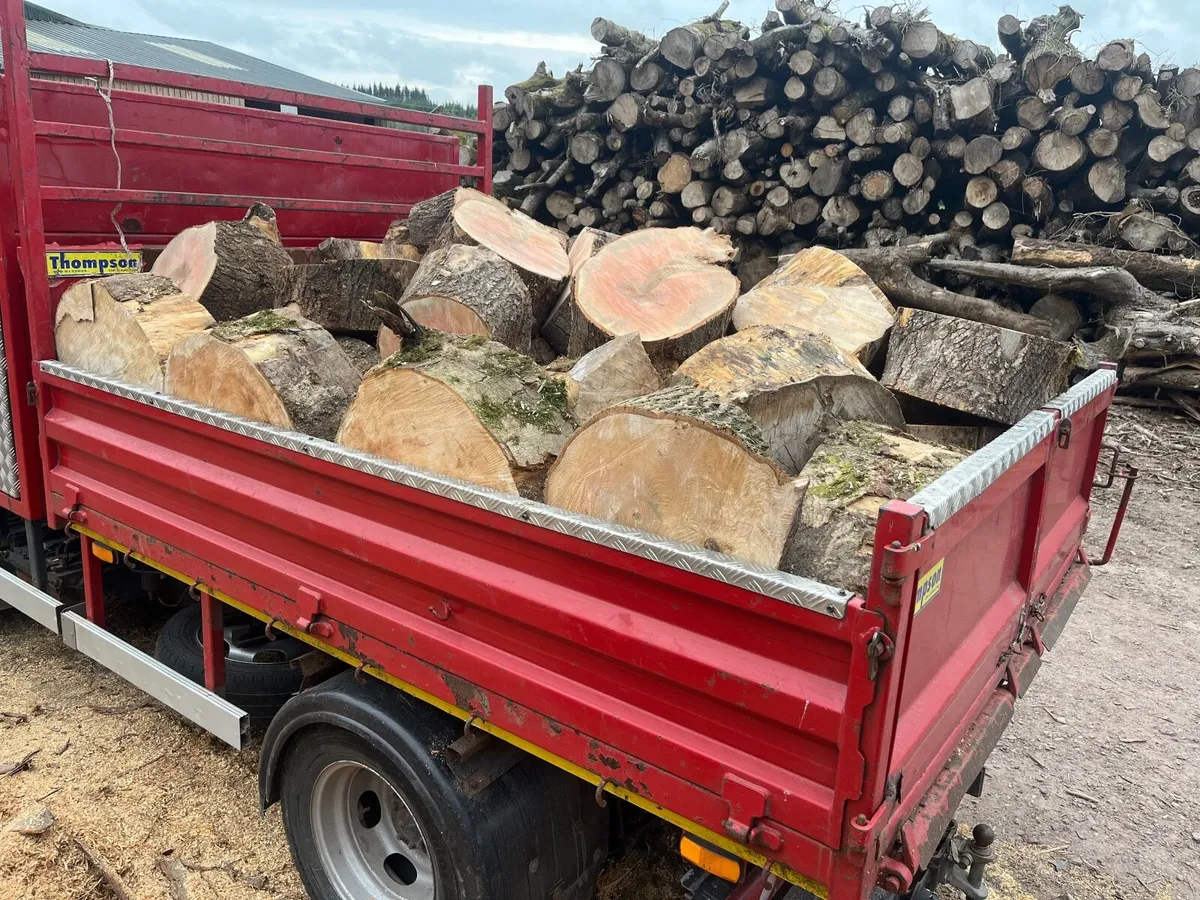 Firewood - Image 2
