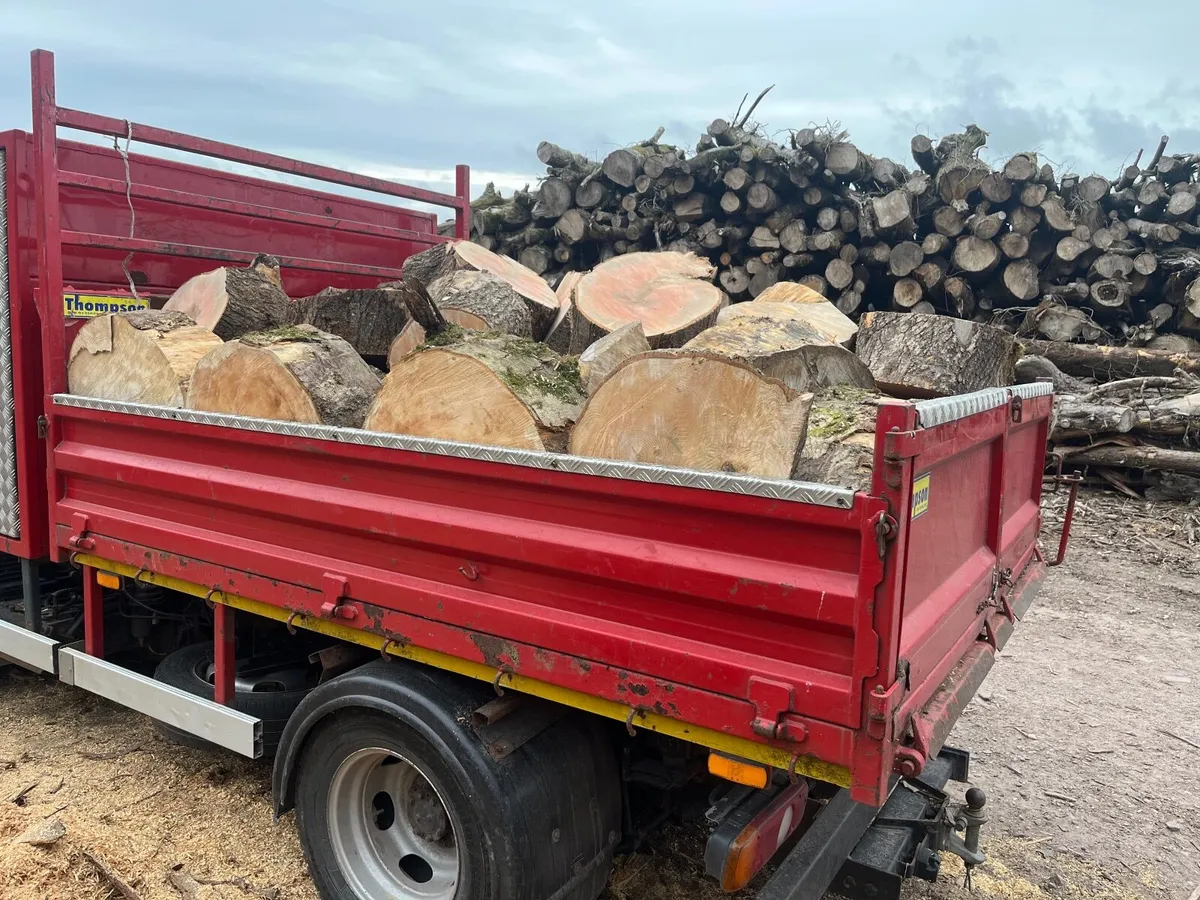 Firewood - Image 3