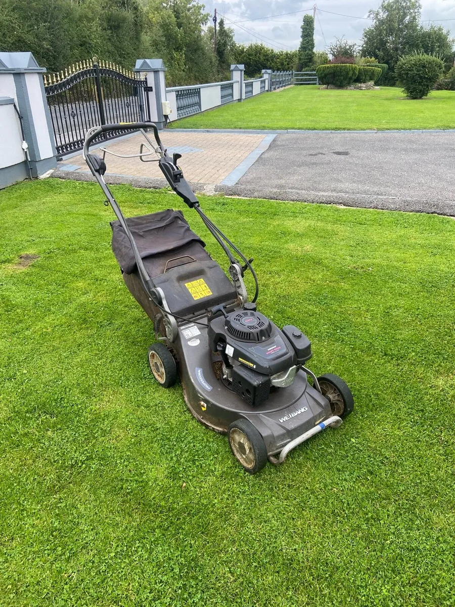 Weibang professional - Image 1