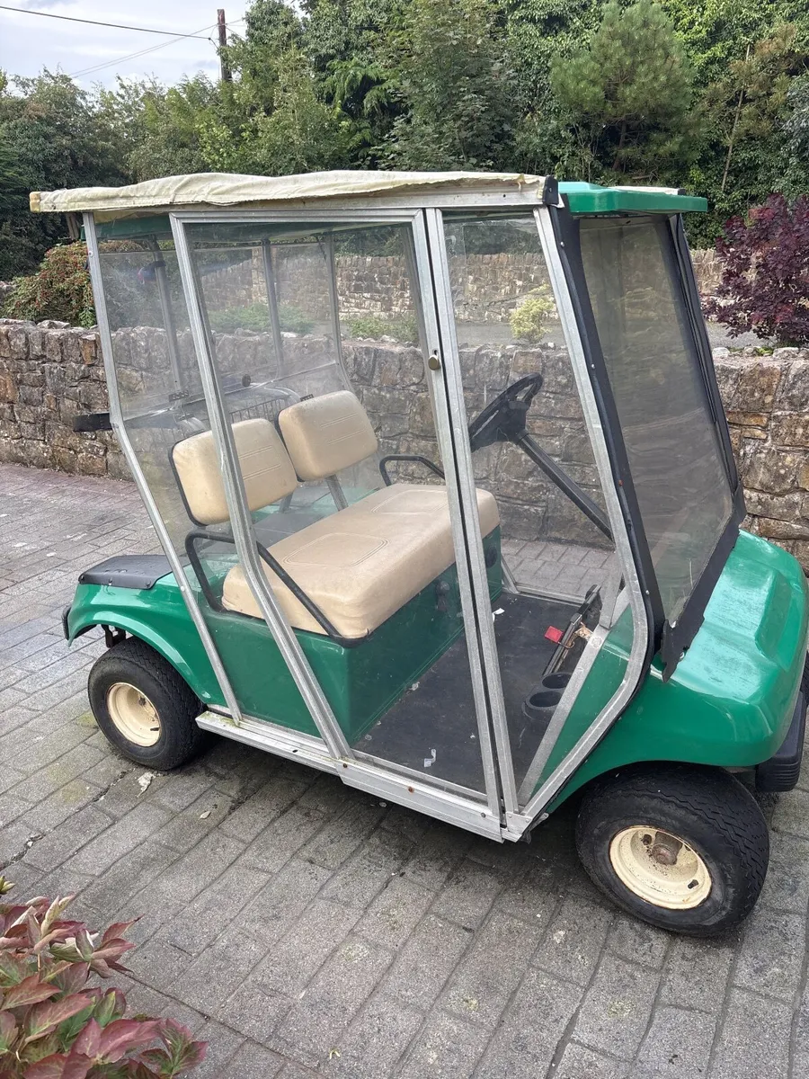 Petrol Golf Buggy - Image 2
