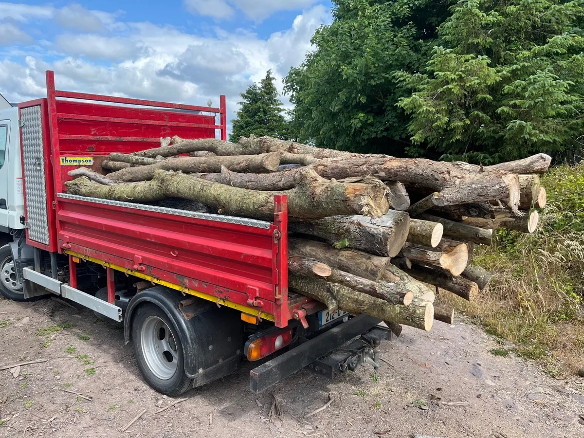 Firewood - Image 4