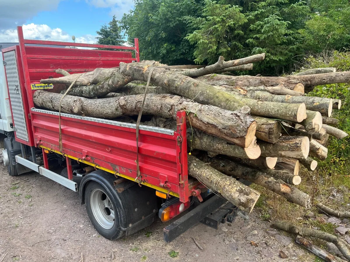 Firewood - Image 1