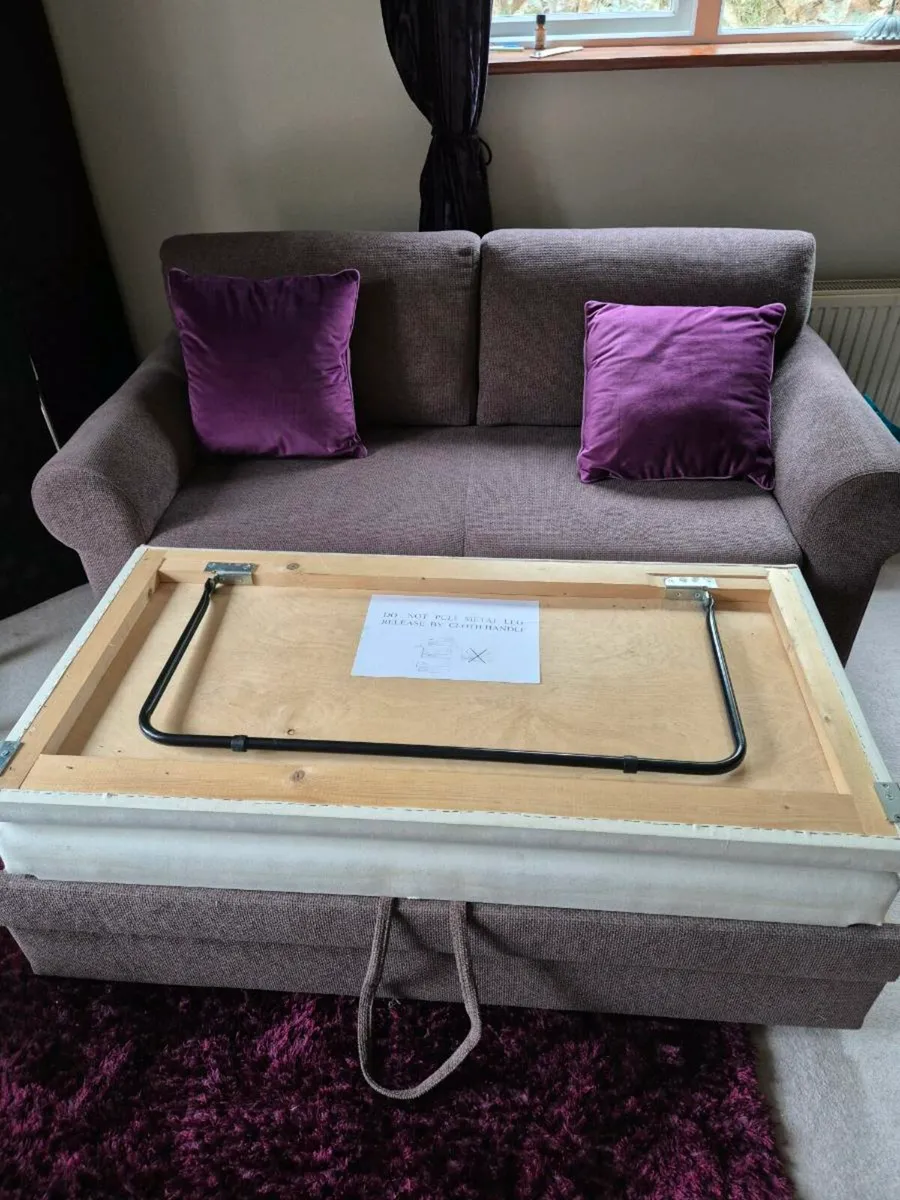 Pull Out Couch/Bed - Image 2