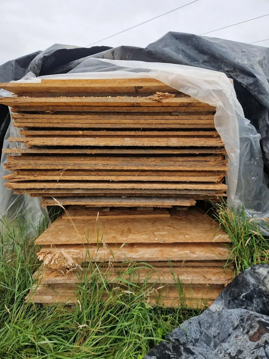OSB Timber Sheets - Image 1