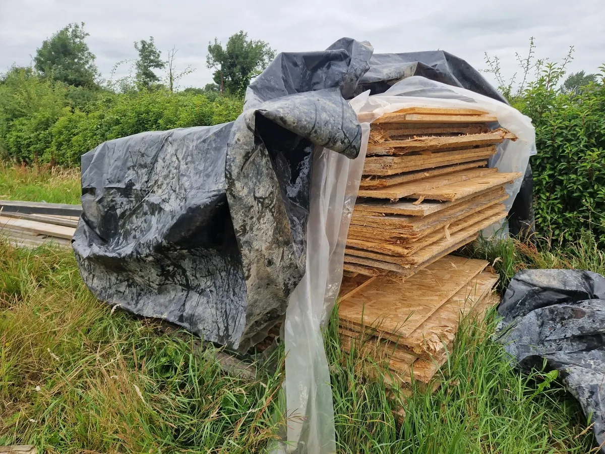 OSB Timber Sheets - Image 2