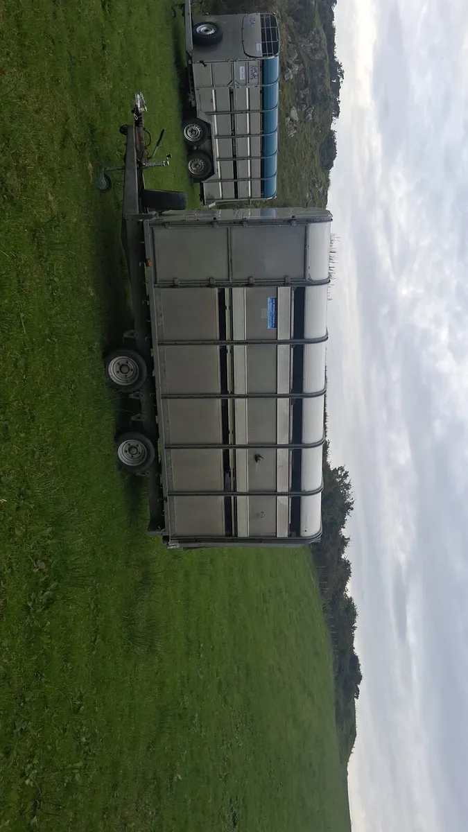 12X6'6 Cattle Trailer With Decks - Image 2