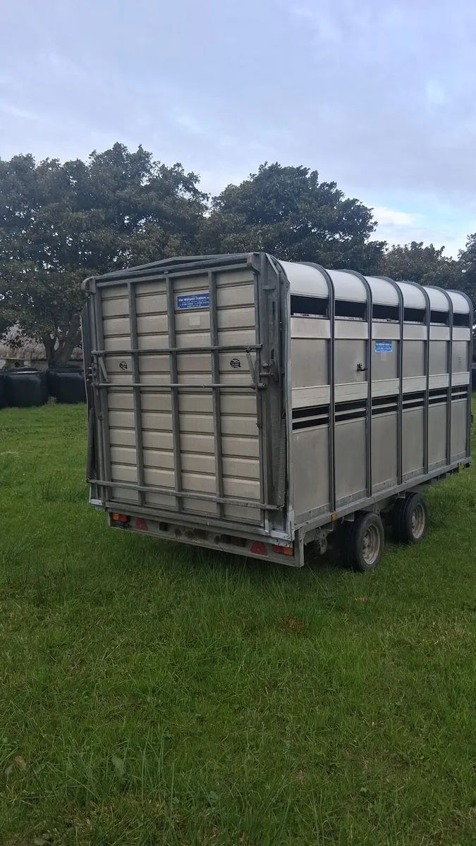 12X6'6 Cattle Trailer With Decks - Image 3