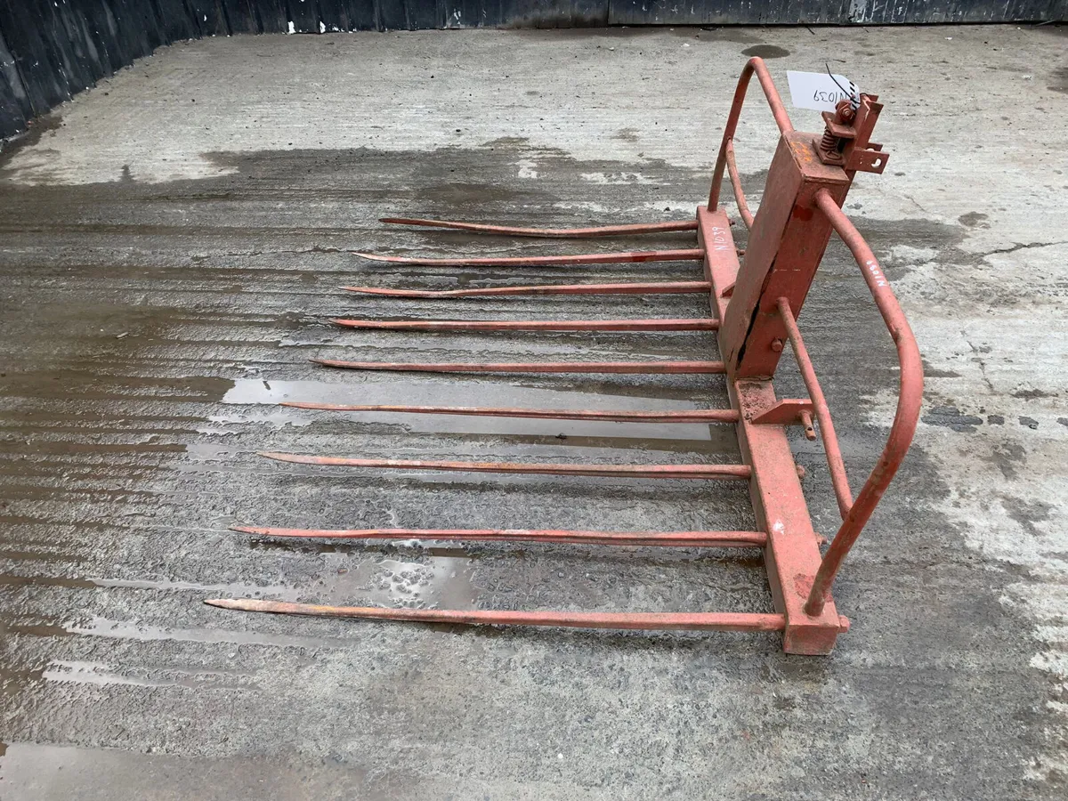Buck Rake - Image 4