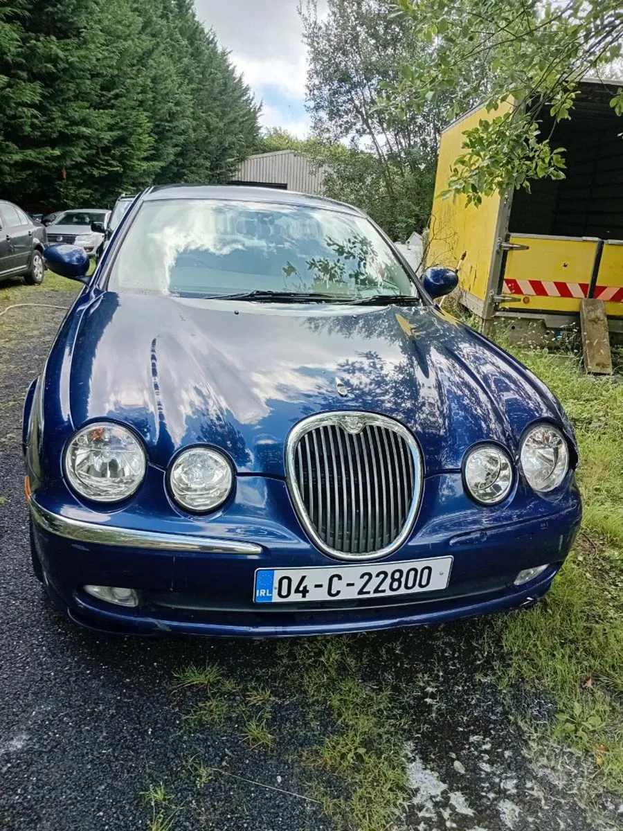 Jaguar - Image 1