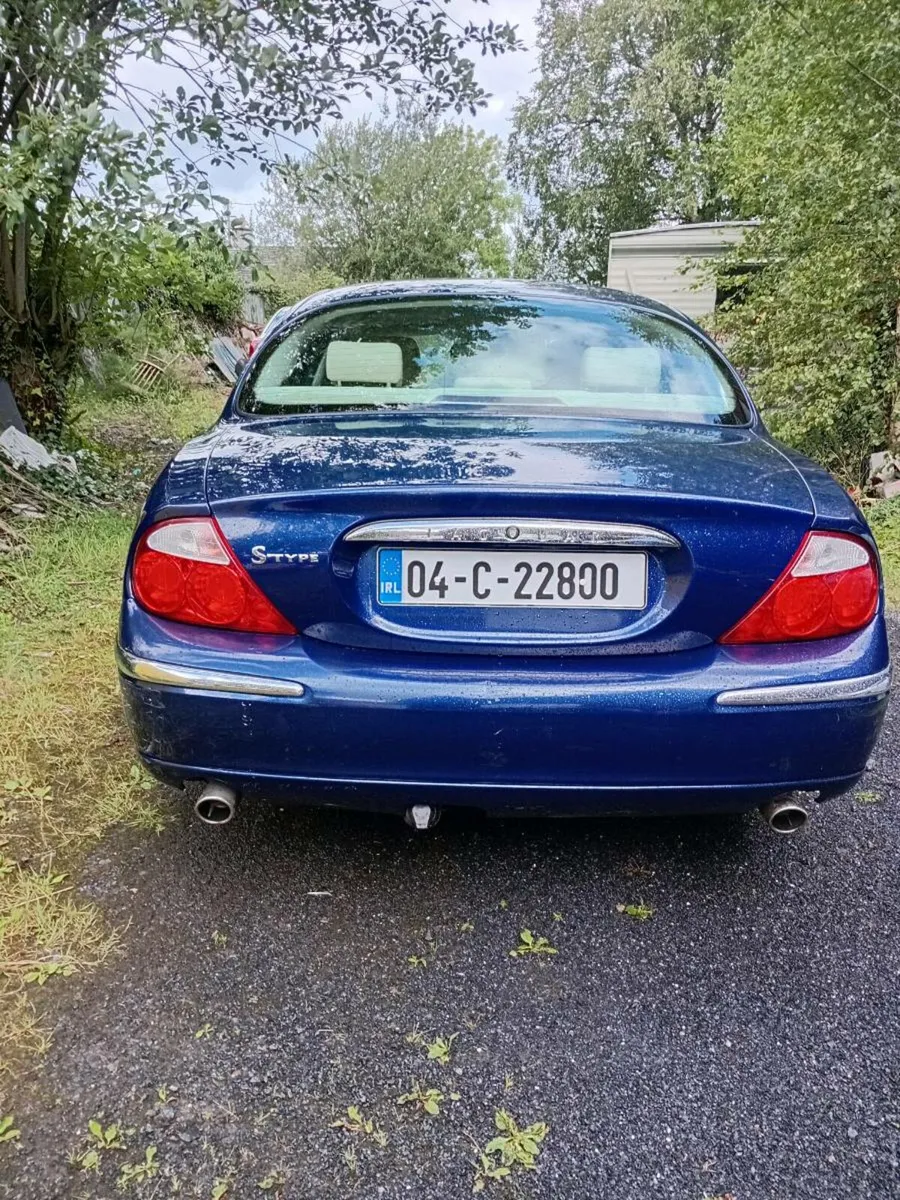 Jaguar - Image 2