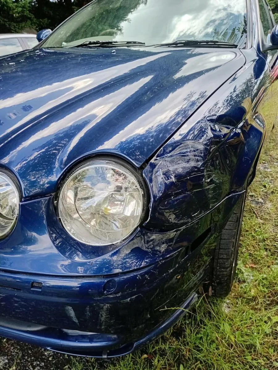 Jaguar - Image 4