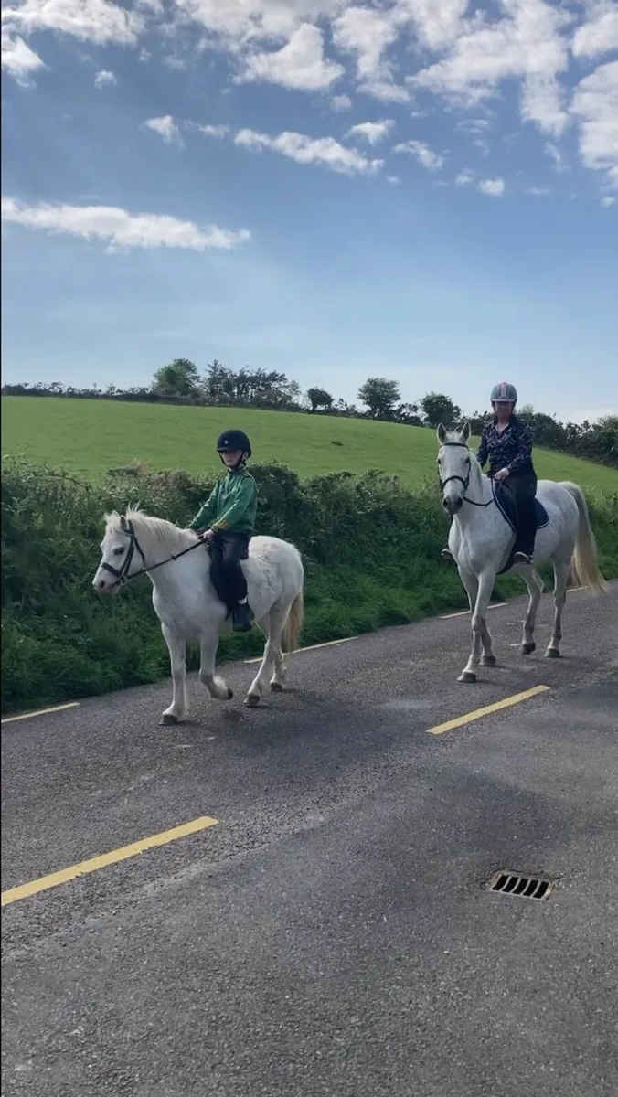 Pony - Image 1