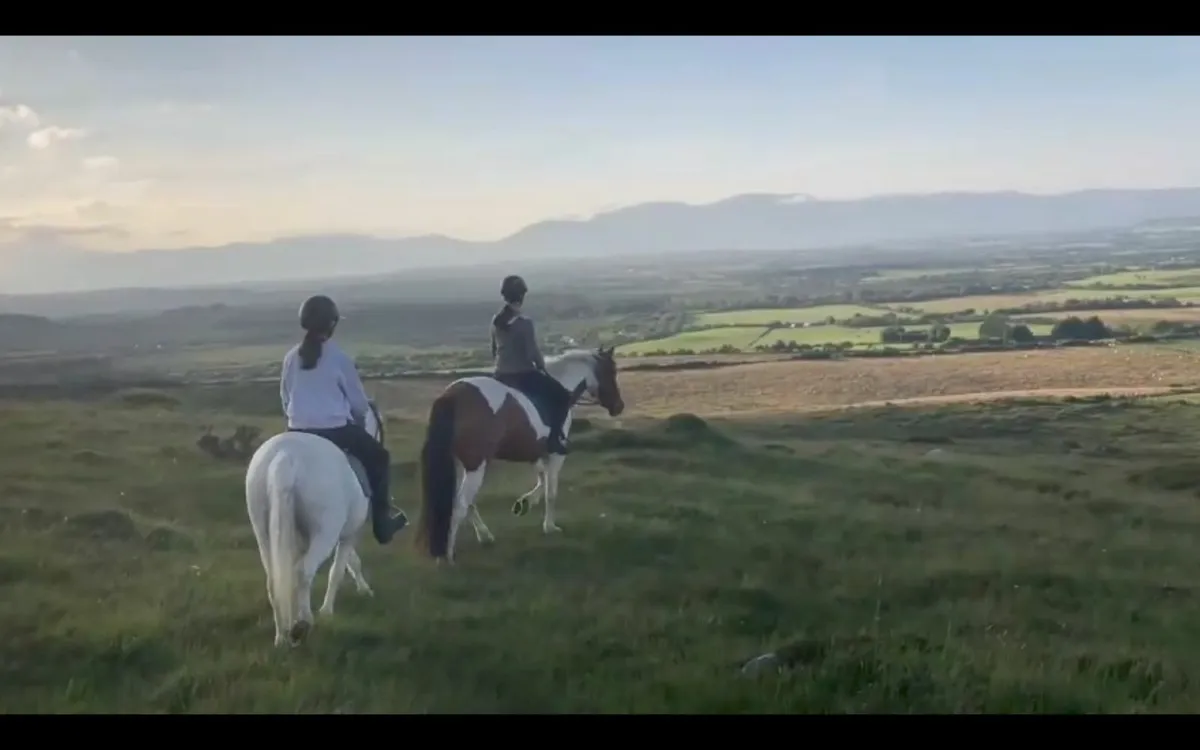 Pony - Image 4