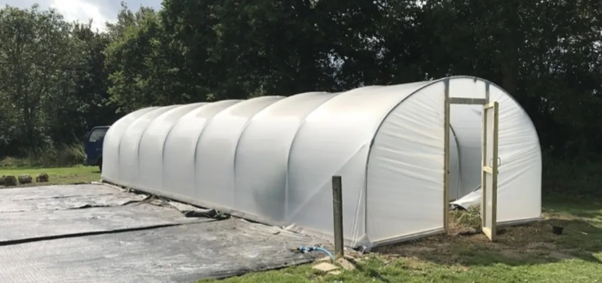 WANTED WANTED WANTED  GREENHOUSE/ POLLYTUNNELL