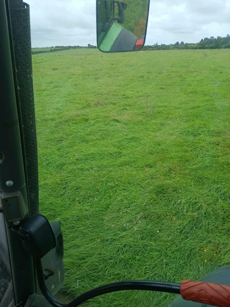 Silage - Image 2