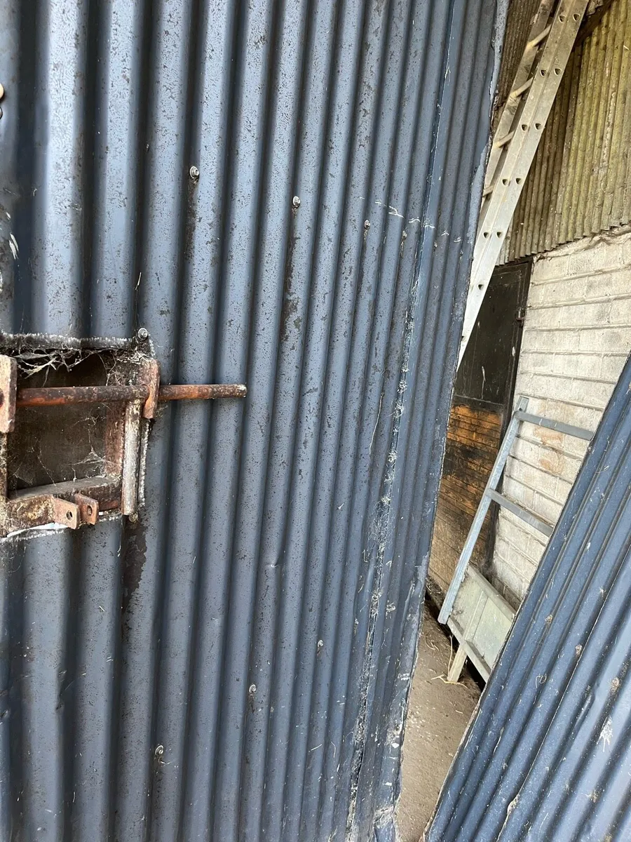 Shed doors - Image 1
