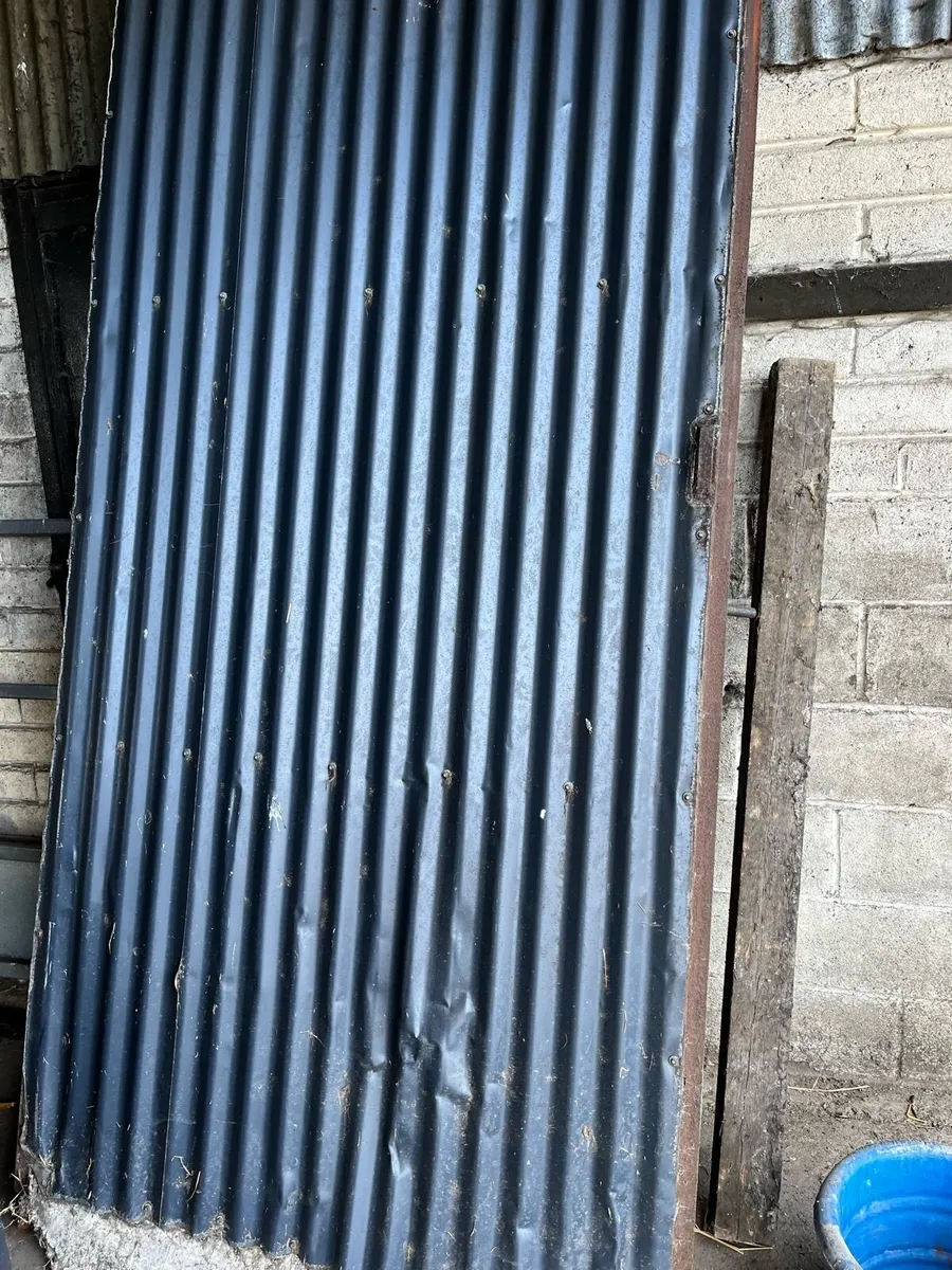 Shed doors - Image 4