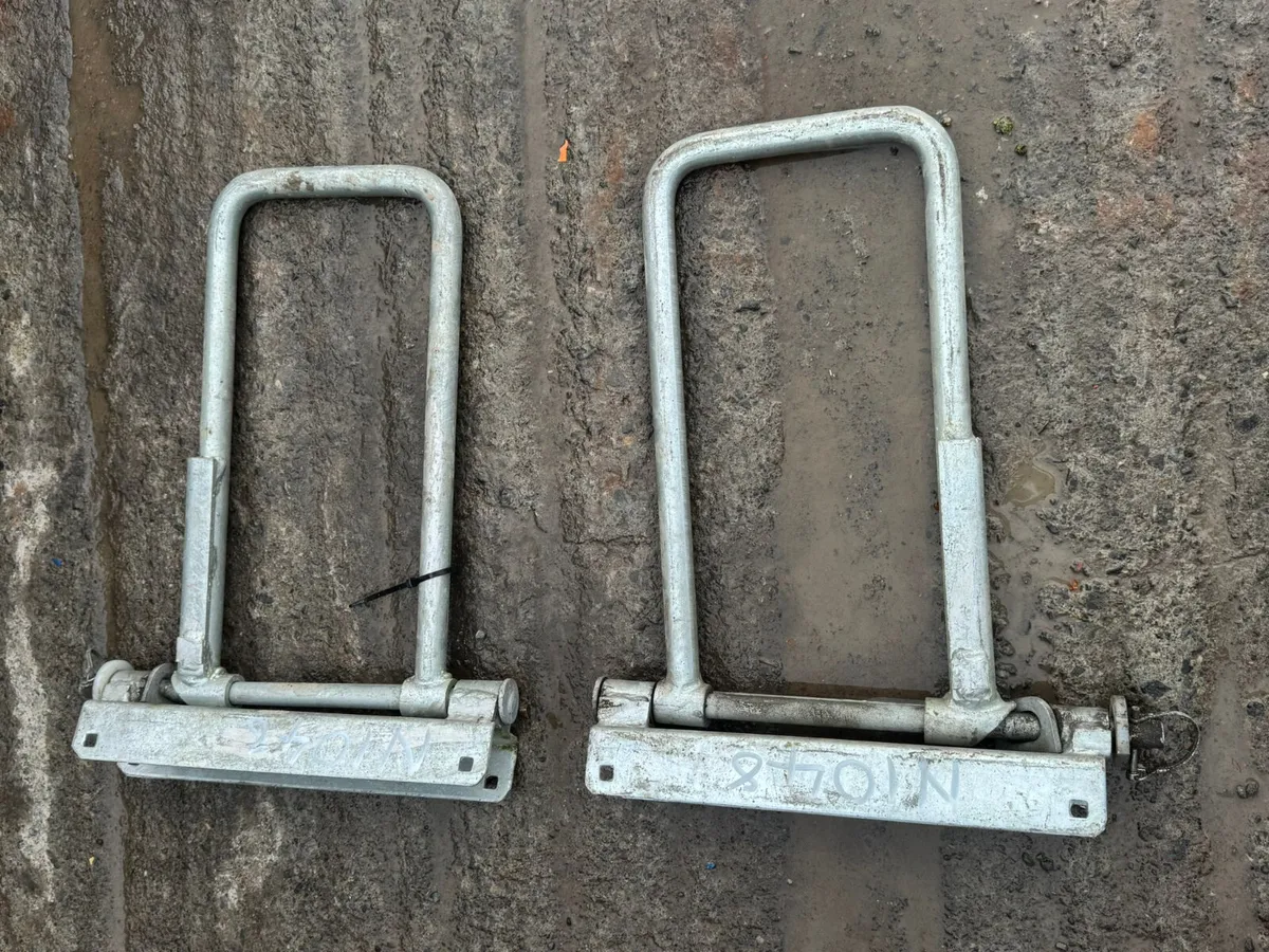 Lely One Way Gate - Image 1